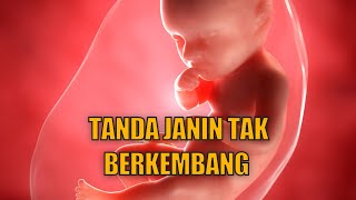 4 Tanda Janin Tak Berkembang dengan Baik