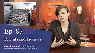 Permits and Licenses: Cases That Should Have Gone to the Supreme Court of Canada, But Didn’t!