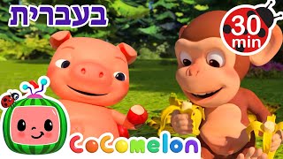 תפוח ובננה | שירי ערש לתינוקות | CoComelon - קוקומלון בעברית