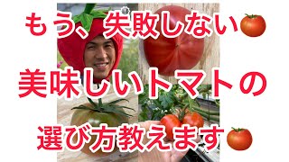 これでもう失敗しない🍅　美味しいトマト選び方教えます🍅