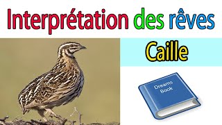 Dream interpretation des reves de caille | signification rêves | dictionnaire des reves