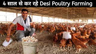 Desi Murgi Farm Business फायदा या नुकसान | Desi poultry Farming | Rir Murgi | Poultry Farm Tour