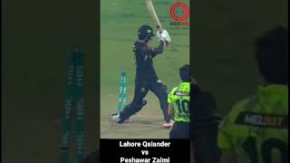 Shaheen Shah Afridi 5 Wickets | Lahore Qalandars vs Peshawar Zalmi |  HBL PSL 8
