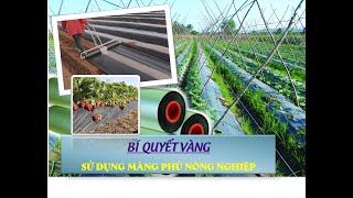 CHUYÊN GIA MÁCH BÍ QUYẾT SỬ DỤNG MÀNG PHỦ NÔNG NGHIỆP TRONG TRỒNG TRỌT