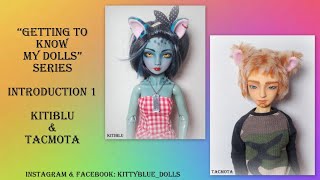 Get to Know my Dolls Kitiblu \u0026 Tacmota