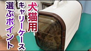 犬猫用キャリーケースを選ぶ際のポイント【獣医師解説】