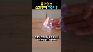 인류가 진화하며 쓸모 없어진 신체부위 TOP 3