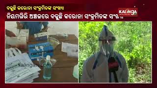 COVID-19 Infection Grips Niyamgiri Area In Rayagada Dist Of Odisha || KalingaTV