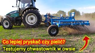 Ekologiczna uprawa owsa 👉 testujemy bronę chwastownik na polu 👉Czy pielnik Carre da radę? [Korbanek]