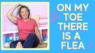 Preschool Circle Time Song | On My Toe There Is A Flea | Song With Motions for Kids