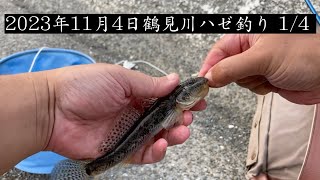 鶴見川潮鶴橋でハゼ釣り。２０２３年１１月４日。３連休を鶴見川で過ごす２日目は結構釣れる（約３０匹、この動画中では３匹）。１１月４日の釣行は動画４本（２４ー２７）。２０２３年ハゼ釣り２４。