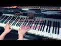 【詩歌伴奏】眞神羔羊agnus dei piano accompaniment