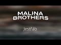 jestřáb ukázka z nového alba malina brothers