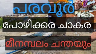 Pozhikkara fish market /പരവൂർ //പോഴിക്കര മീൻ ലേലവും// മീനമ്പലം ചന്തയിലെ കാഴ്ചയും/ പോഴിക്കര ചാകര,,