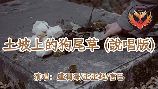 盧潤澤/歪歪超/宮巴 - 土坡上的狗尾草（說唱版）『土坡上狗尾巴草搖啊 搖得人眼淚掉 你那頭月亮照不照得到 唱首狗兒的歌謠 我的小黃你卻已聽不到』【動態歌詞MV】