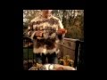 Vegetarian musical instruments - Boris Sichon