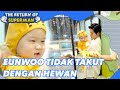 Eunwoo Tidak Takut Dengan Hewan |The Return of Superman|SUB INDO/ENG|221118 Siaran KBS WORLD TV|