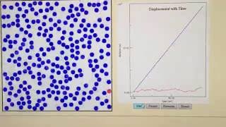 Unit 2 Diffusion Animation