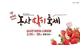 🔴[LIVE] | 온택트🍓 2021 논산딸기축제 - 다섯째 날