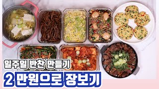 2 만원으로 장보기 47 / 자취생 일주일 반찬 만들기 : 소고기구이 우엉계란김밥