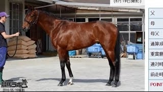 【競馬】2016 東京優駿(ＧＩ) (日本ダービー) マカヒキ