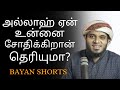 அல்லாஹ் ஏன் உன்னை சோதிக்கிறான் தெரியுமா? | Abdul Basith Bukhari | Tamil Bayan