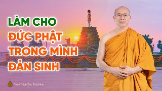 Làm sao để Đức Phật đản sinh trong tâm | Thầy Thích Trúc Thái Minh