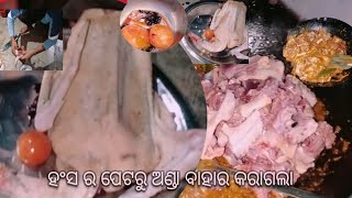 ହଂସ ର ପେଟରୁ କାଢିଲୁ ଅଣ୍ଡା।  @pkb lifestyle