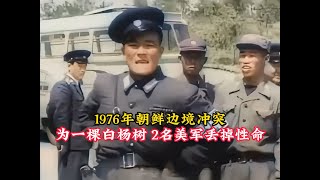 1976年朝鲜边境冲突，为一颗白杨树，两名美军丢掉性命！