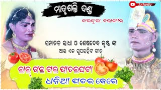 Matrushakti danda || ଲାଲ୍ ଗଲ ଗଲ ପାତଲଘଟା || Seshadev \u0026 Sanatan best song || @Arfamilyofficial