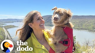 Rescue Dog And Her Mom Love Hiking Together | The Dodo