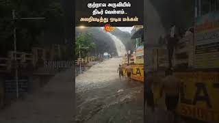 Coutrallam Falls | குற்றால அருவியில் திடீர் வெள்ளம்.. அலறியடித்து ஓடிய மக்கள்