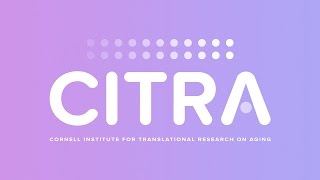 CITRA Website Video