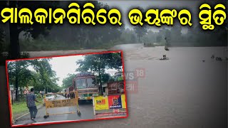 ମାଲକାନଗିରିରେ ବର୍ଷା ବିତ୍ପାତ  | Heavy Rainfall In Malkangiri | Breaking News | Odisha Rain | Odia News