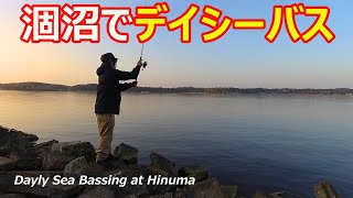 【シーバス】茨城県涸沼でデイシーバス【涸沼】2021年3月中旬/[Sea Bass]