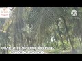 குறைந்த விலையில் தென்னை தோட்டம் விற்பனைக்கு low budget coconut farm for sales