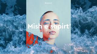 MISH E SHPIRT'   (prod.Riddiman)