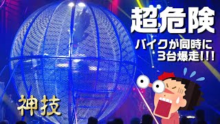 【ワールドドリームサーカス】バイクで鉄球の中を爆走する『グローブ・オブ・デス（Globe of Death）』【Globe of Death】