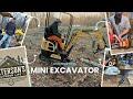 Logging With a Mini Excavator - An Efficient Alternative