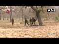 chhattisgarh naxal encounter abducted crpf jawan released keralakaumudi