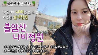 불암산 나비정원~ 겨울철 온실정원 나들이  [정원이 좋은 이유]