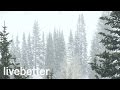 Sonidos Relajantes de Nevada para Dormir - Ruidos de la Naturaleza con Viento Calmante que da Sueño