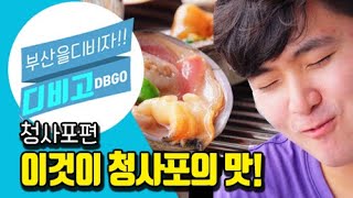 [디비고 DBGO] 일본보다 부산이 더 좋은 이유 !! 방사능 1도없는 청사포 조개구이~~ 조개구이 먹방도 하고 다릿돌 전망대에서 스릴도 즐기고~일본까지 갈 필요있나요?