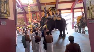 Paramekkavu Bhagavathi Temple | Thrissur | Aarattu | Pallivetta