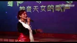 New Tibetan song 2015 by Tsewang Lhamo. བཀྲ་ཤིས་བདེ་ལེགས།