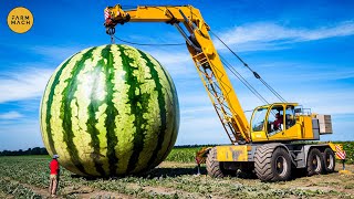 42 Most Incredible Agriculture Machines and Ingenious Equipment