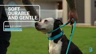 Bevill Dog Behavior - Products - Slip Leash