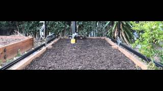 FarmBot Precision Watering the Swiss Chard