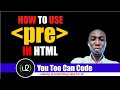 how to use the pre tag in html