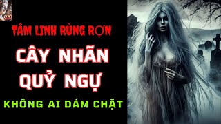 Chuyện Tâm Linh Cây Nhãn Quỷ Ngự Không Ai Dám Chặt